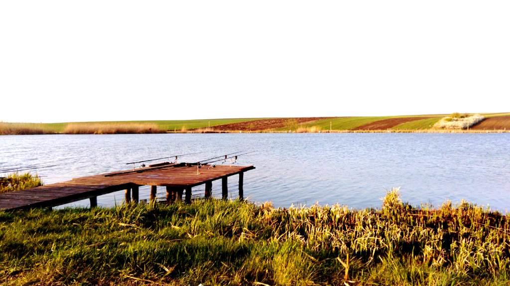 Bila 2 6 - 7 aprilie 2019 - img-20190406-wa0002.jpg